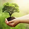Eco friendly image